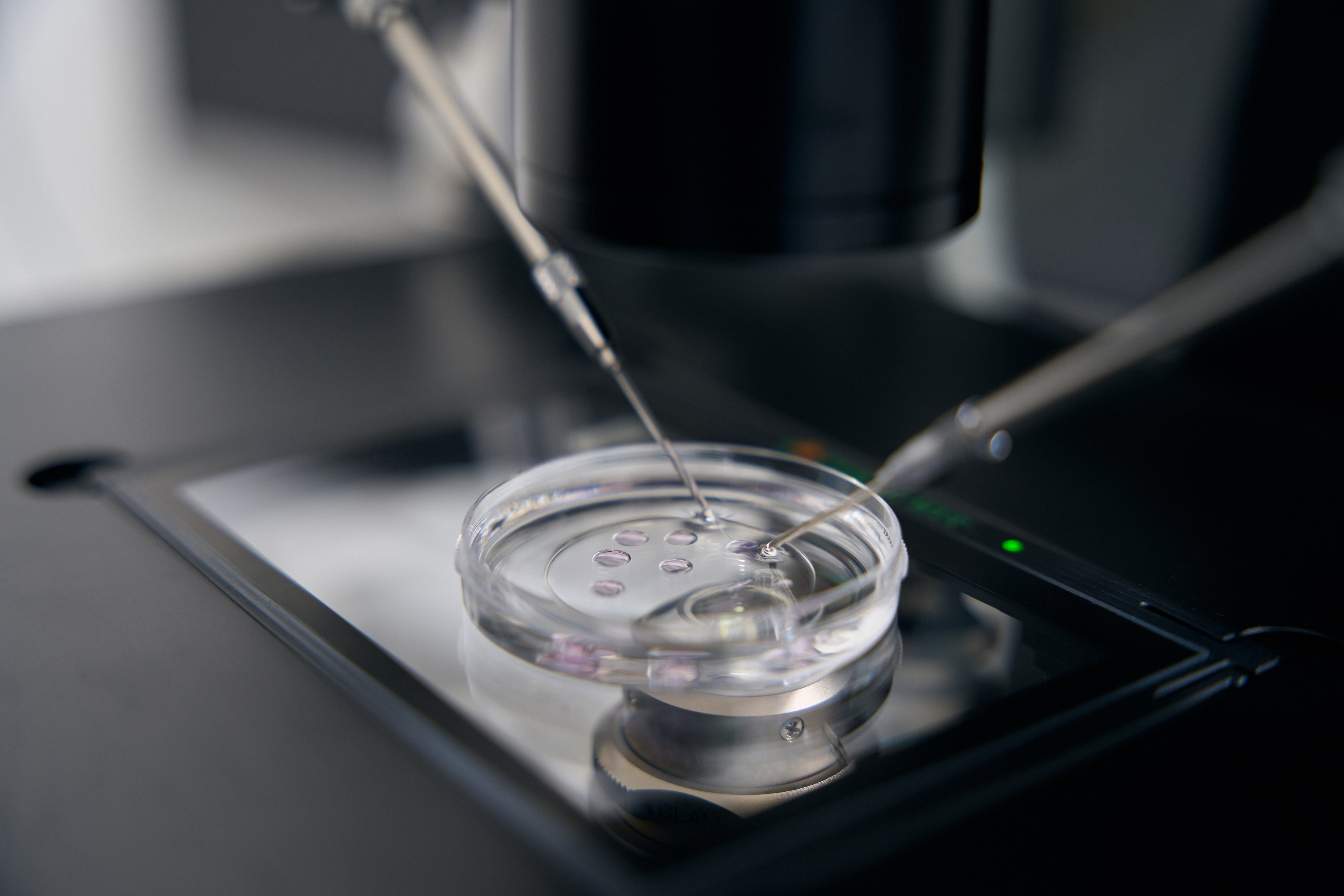 Working with biomaterial using a micromanipulator in a specialized laboratory